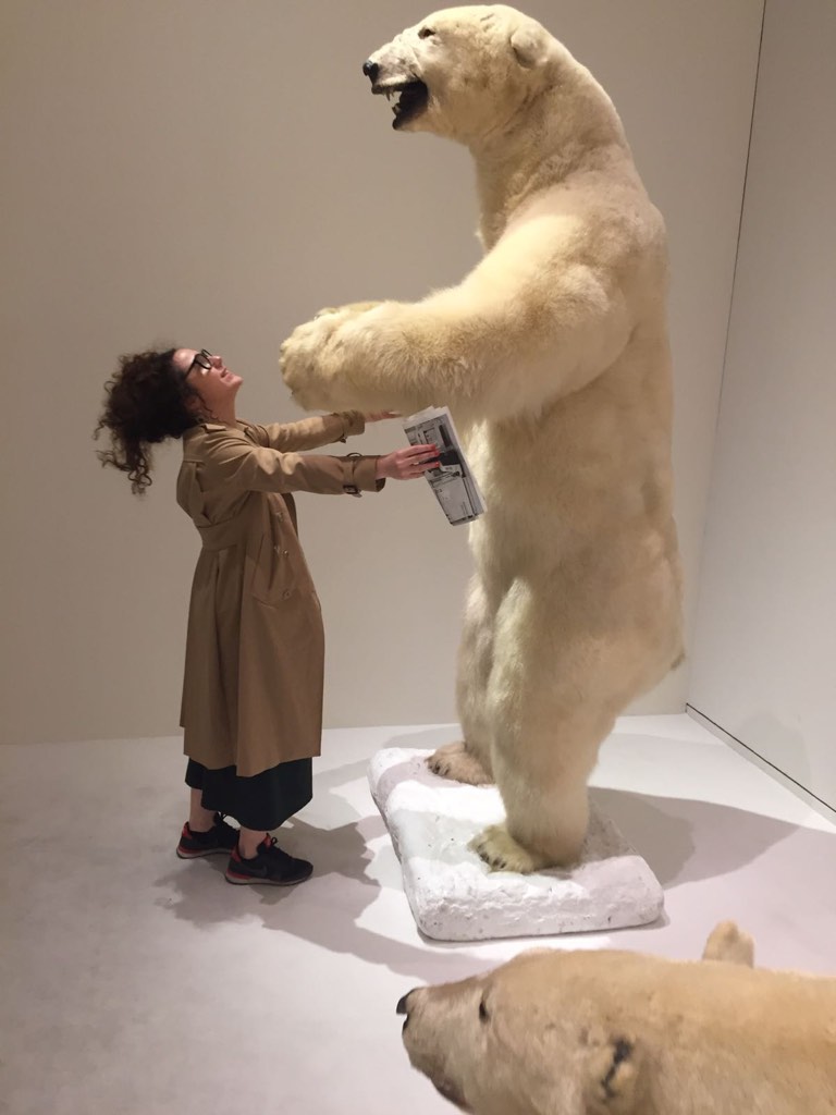 Alex frente a un oso polar en un museo